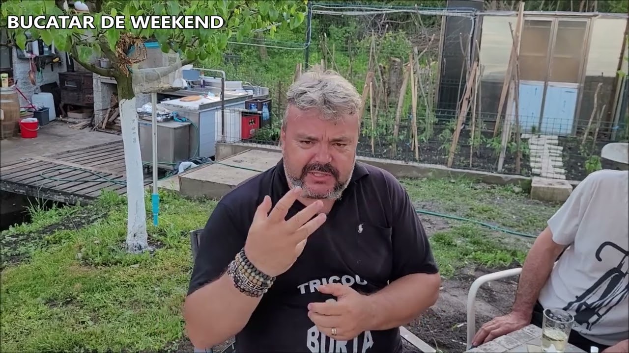 PUI DE BALTA - BROASTE / BUCATAR DE WEEKEND M.T.