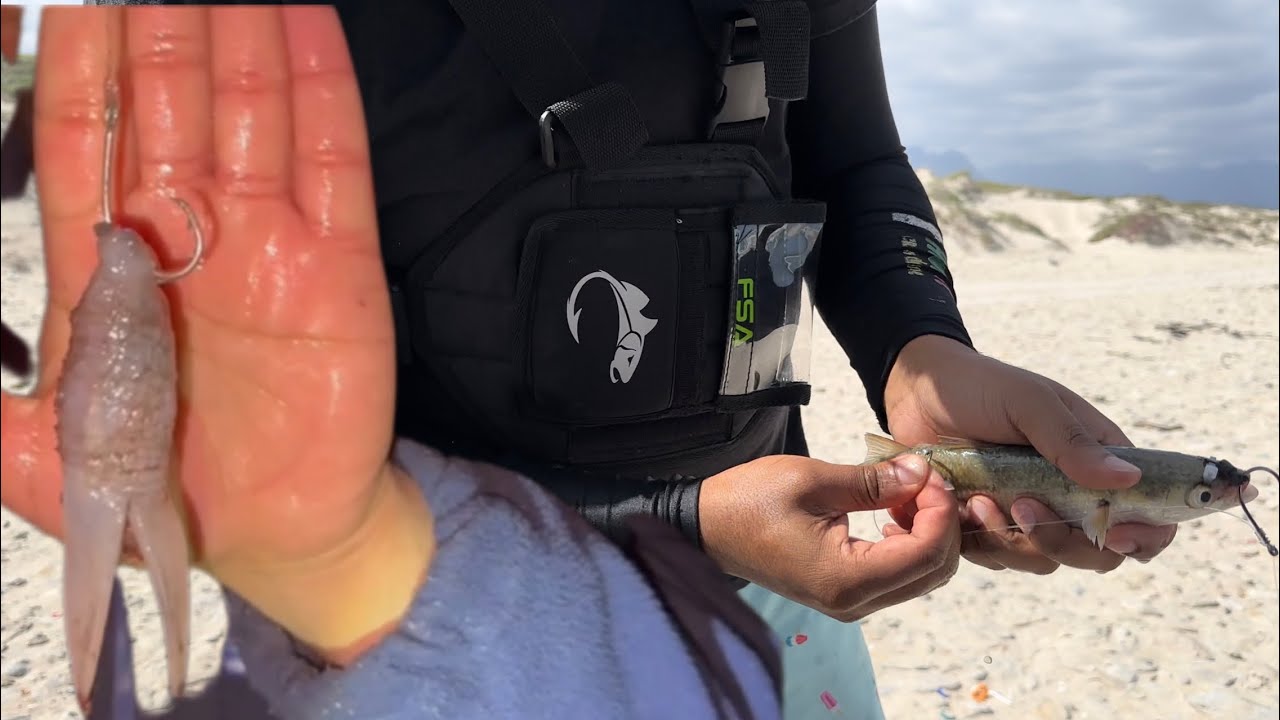 Fishing for Kob with LIVE BAIT [False Bay]