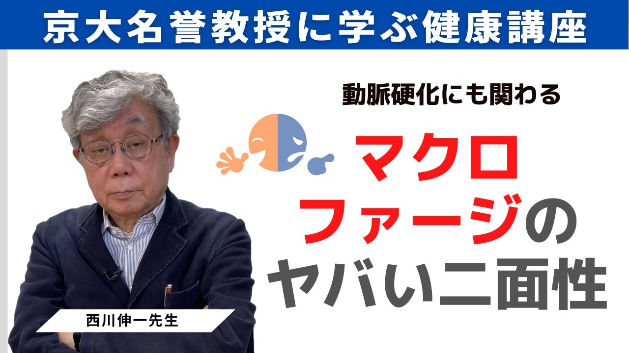 【京都大学名誉教授が教える】動脈硬化の重症化とマクロファージの表と裏