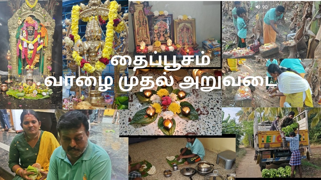 ♾️⭐தைப்பூசம்/வாழை முதல் அறுவடை/ஆனந்த சண்முக வேல்முருகன் கும்பாபிஷேகம் #saranyavenkateshgallery#vlog