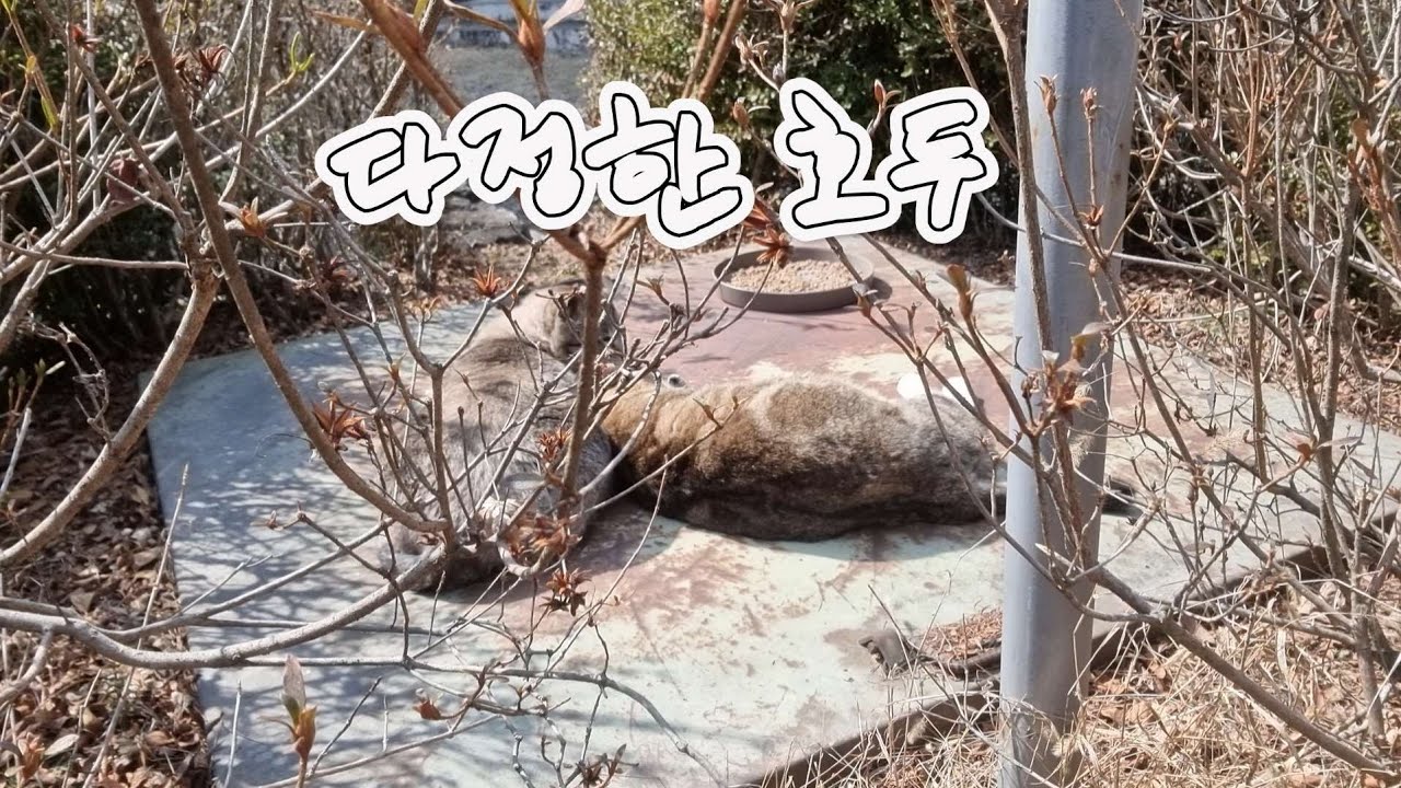 다정한 호두씨~♡