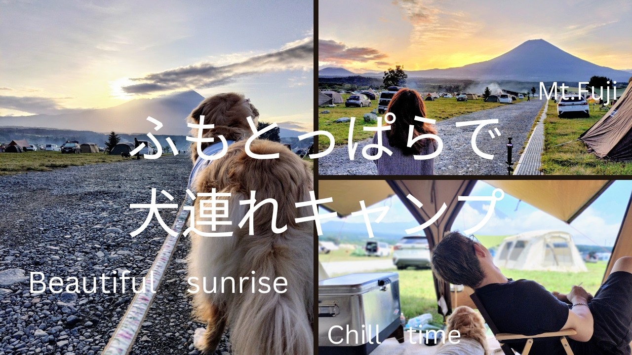 【ふもとっぱらキャンプ場】で犬連れキャンプ