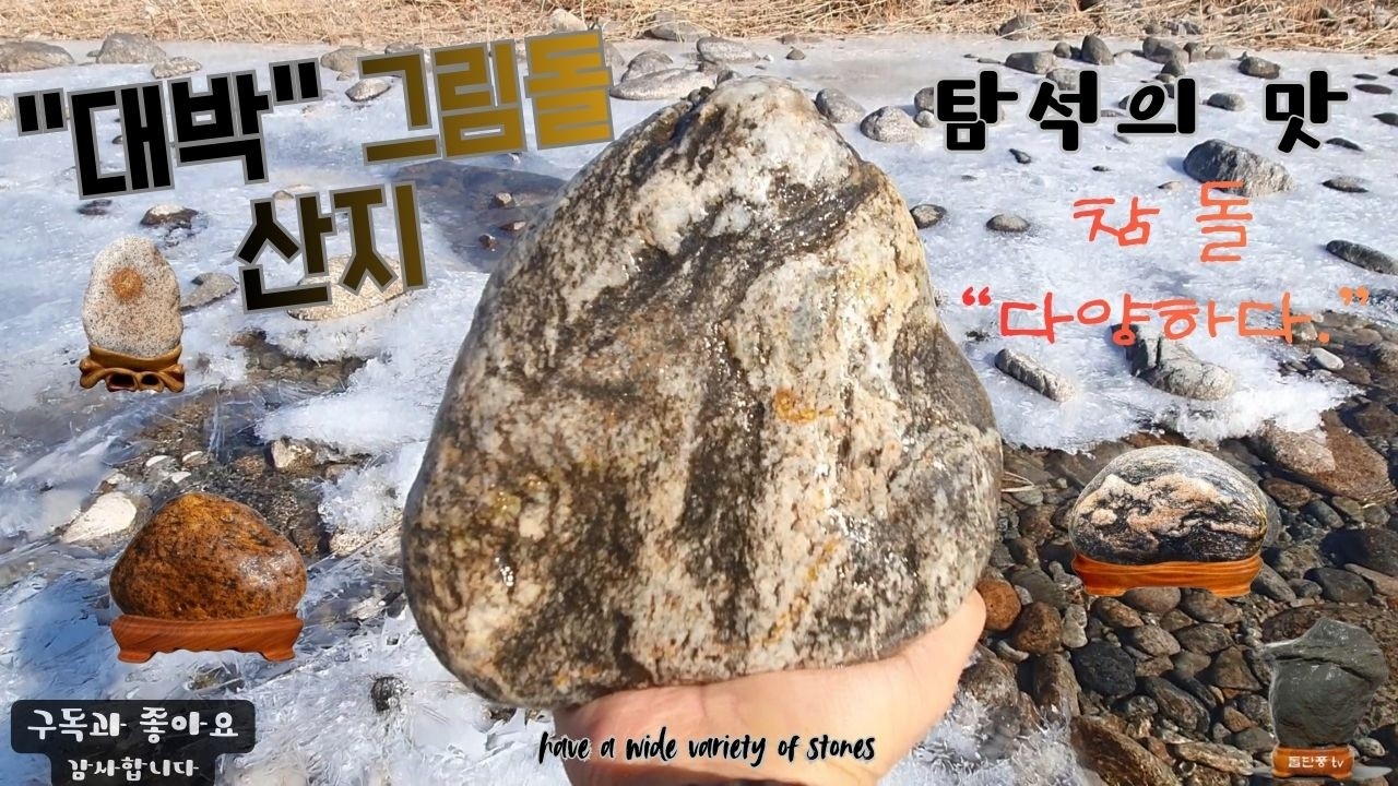 그림돌은 역시 양양#YANG YANG is the best at drawing stone#탐석기행#수석취미#돌단풍tv#그림돌#문양석#목화석#꽃돌#홍석#산수경석#호수석