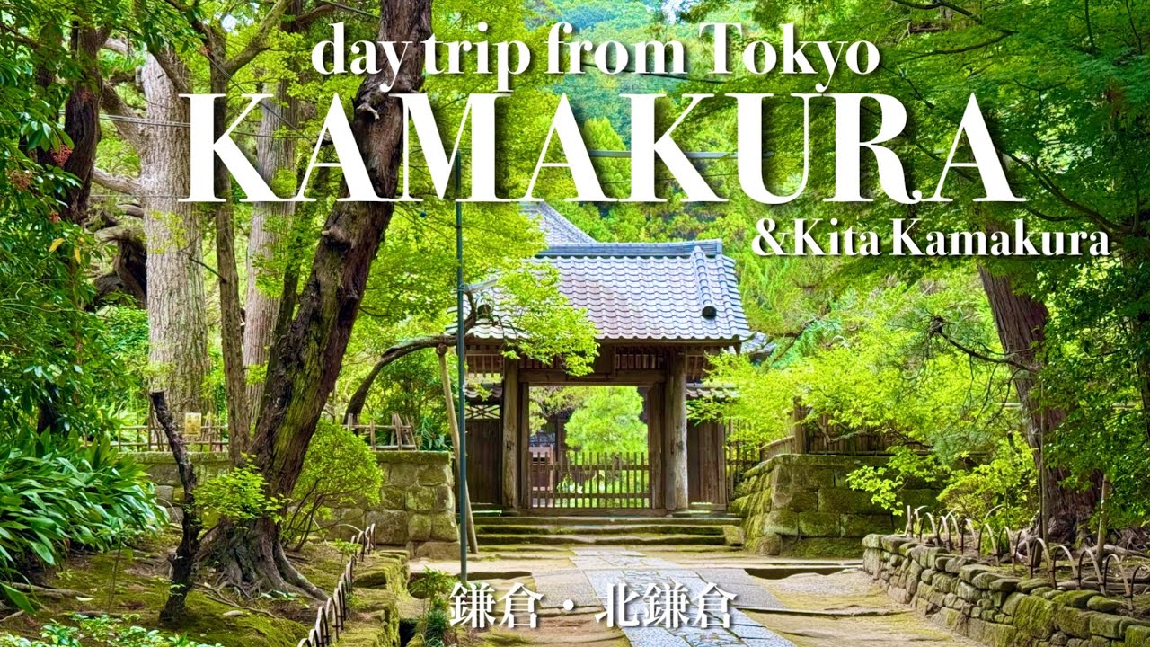 【鎌倉・北鎌倉日帰り一人旅】東京から1時間で心リフレッシュ！人混みを避けて✨午後から気軽に行く極上癒しスポット巡り