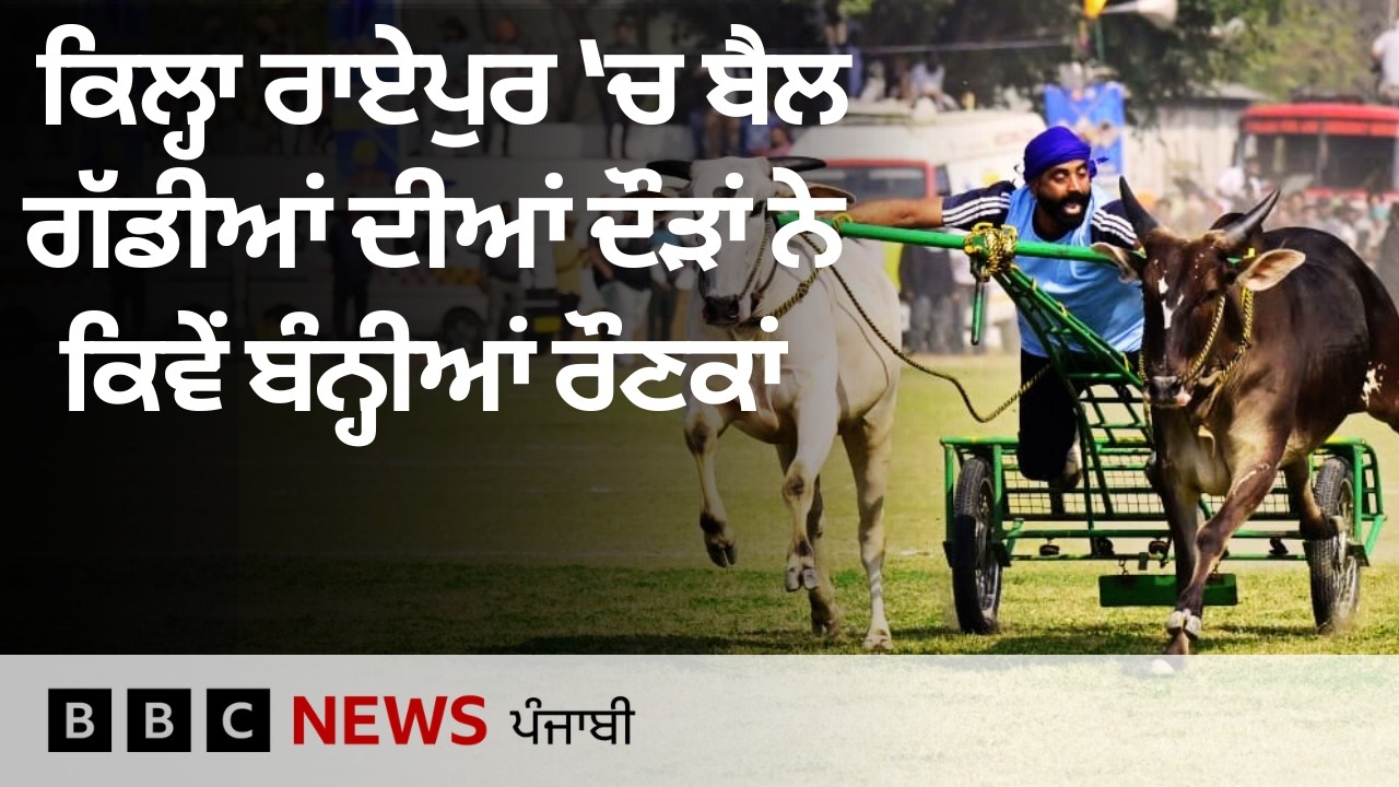 Kila Raipur ਖੇਡਾਂ 'ਚ ਬੈਲ ਗੱਡੀਆਂ ਦੀਆਂ ਦੌੜਾਂ ਦੀ ਵਾਪਸੀ, ਦੇਖੋ ਲੋਕ ਦੌੜਾਂ ਬਾਰੇ ਕੀ ਕਹਿ ਰਹੇ | 𝐁𝐁𝐂 𝐏𝐔𝐍𝐉𝐀𝐁𝐈