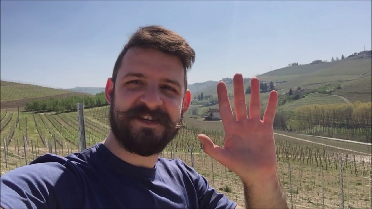 Tour the Massolino Vineyards in Albesani (April 2020)