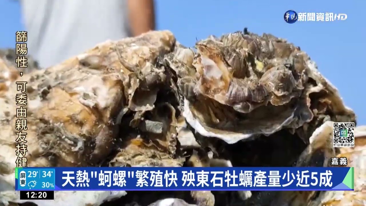 天敵