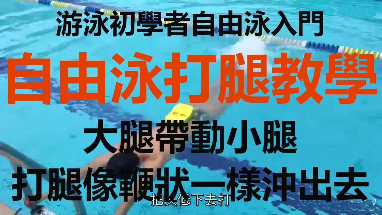 游泳初学者自由泳入门，打腿教学！Getting started with freestyle swimming for beginners, kicking teaching!