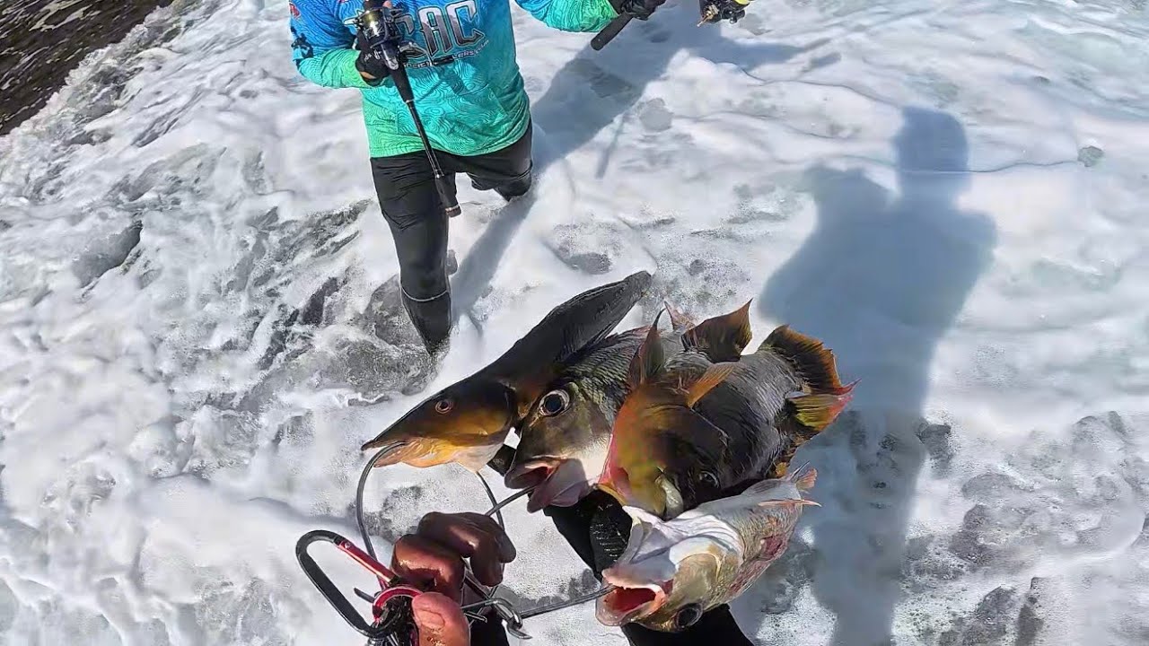 Must watch !! Bago Ka Bumili Ng Camera For Fishing Video