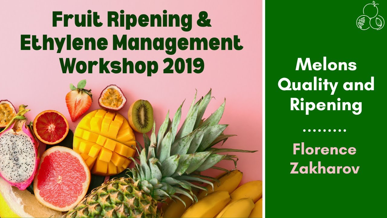 Fruit Ripening and Ethylene Workshop | Melons Quality and Ripening | Florence Zakharov