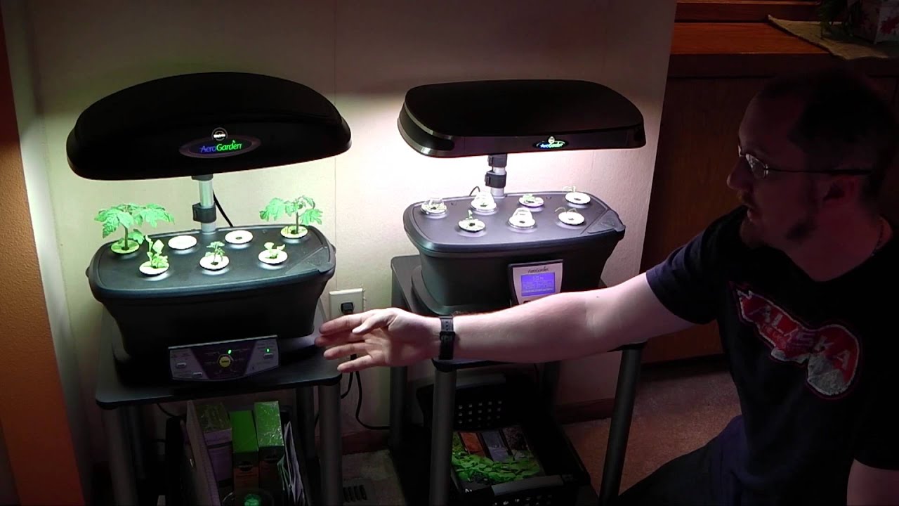 Aerogarden Extra, Ultra LED, and model 3 are reviewed by TheHydroCultivator