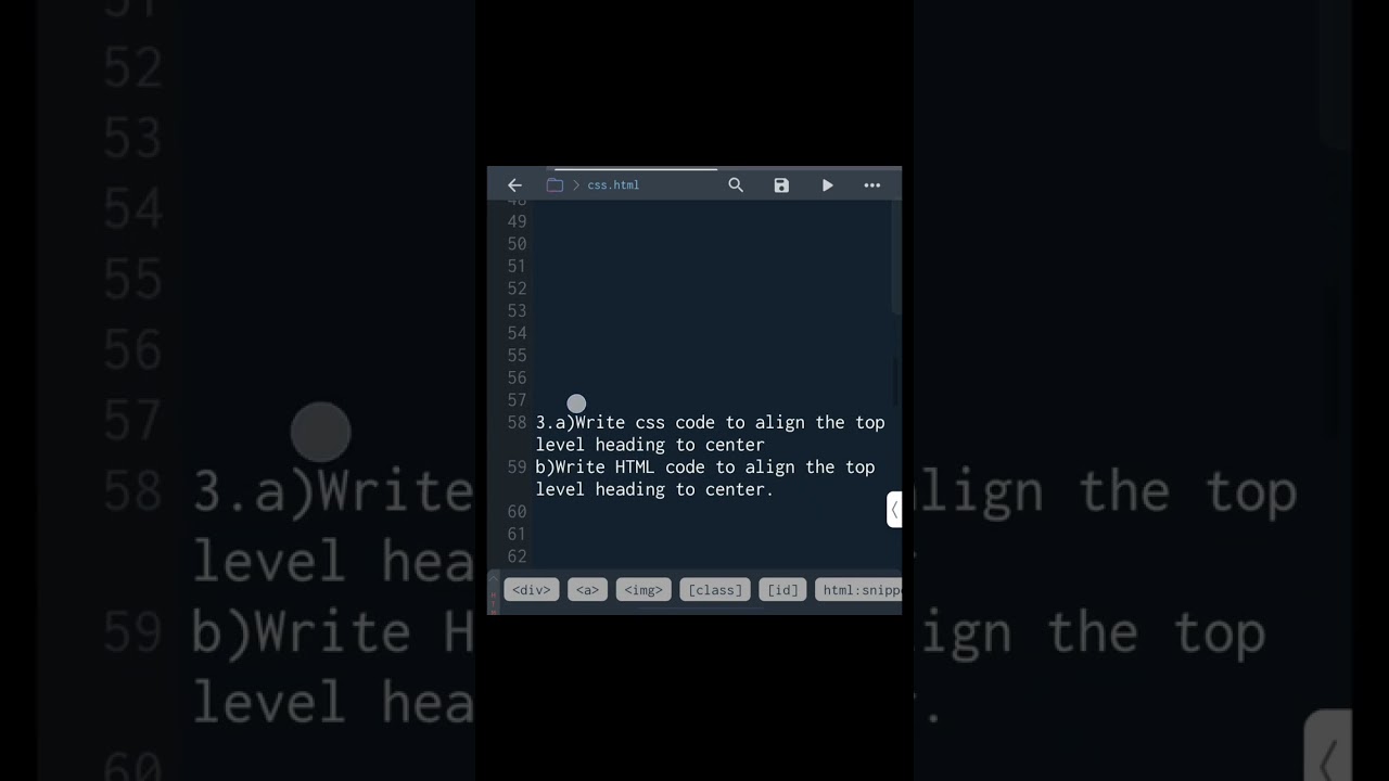 Important questions based on CSS|Class 10 Computer applications 