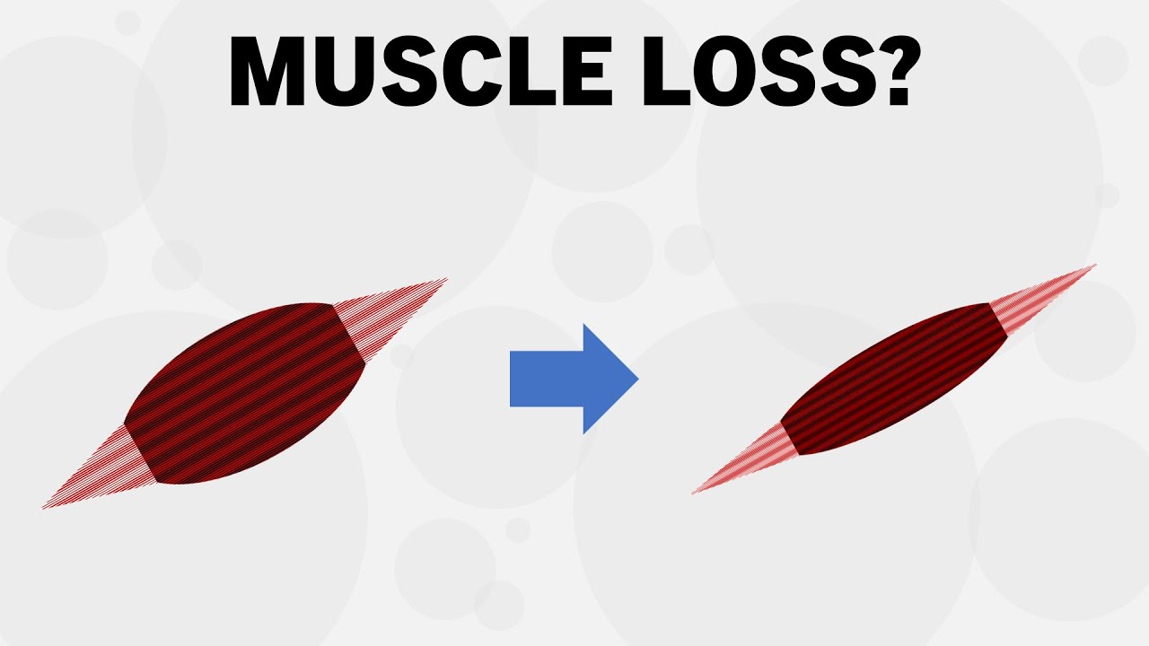 Will You Lose Muscle If You Take A Break From Lifting?