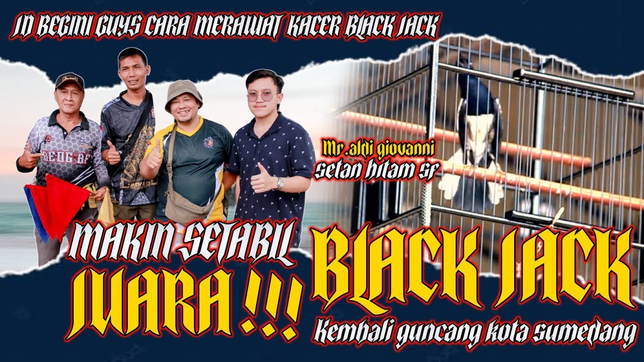 CARA MERAWAT KACER⭕PATAHKAN DOMINASI LAWAN MUSUH BLACK JACK SUKSES DOUBLE WINNER MATERINYA NGERI BGT