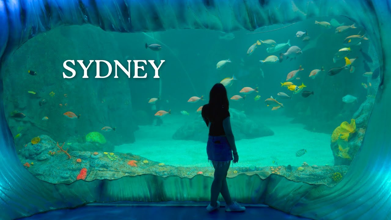 4 dias em sydney - diario de viagem na australia | giulia paié