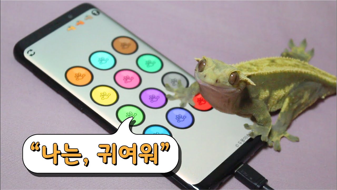 도마뱀 말 번역기를 만들었습니다. 마뱀이들이 처음으로 한 말은?