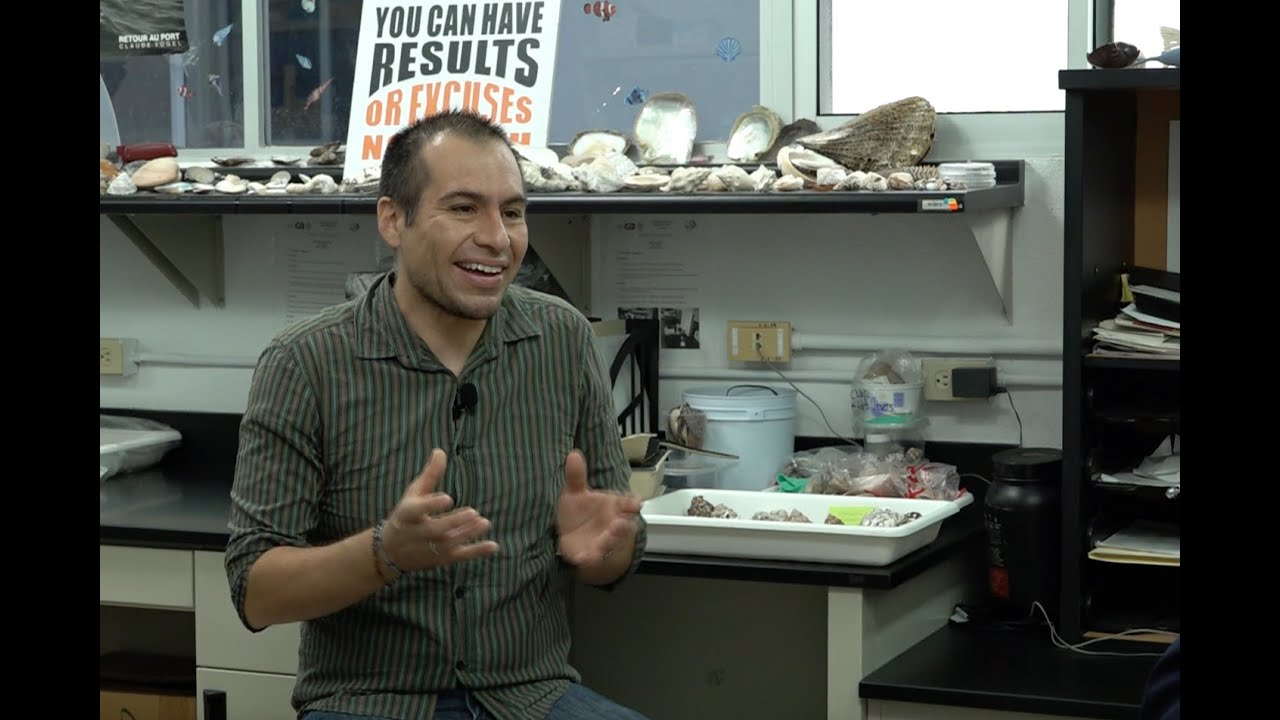 Efecto Allee o depensación