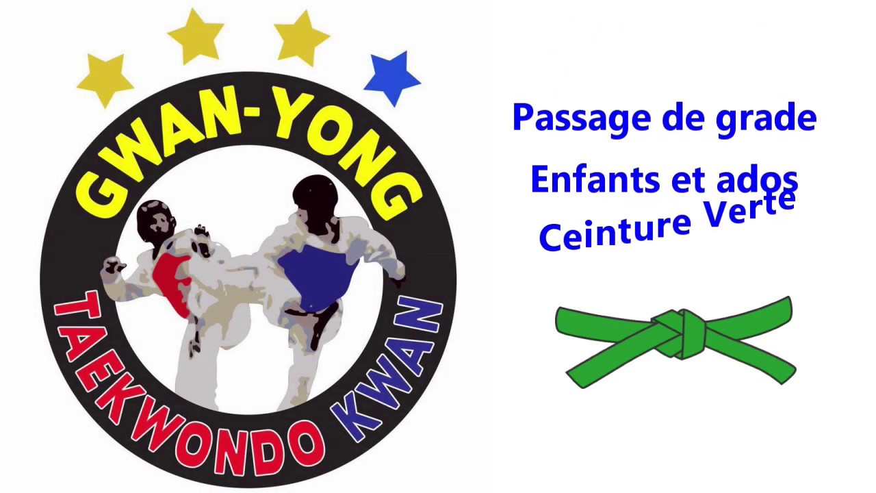 Cours N° 3 : ceinture verte