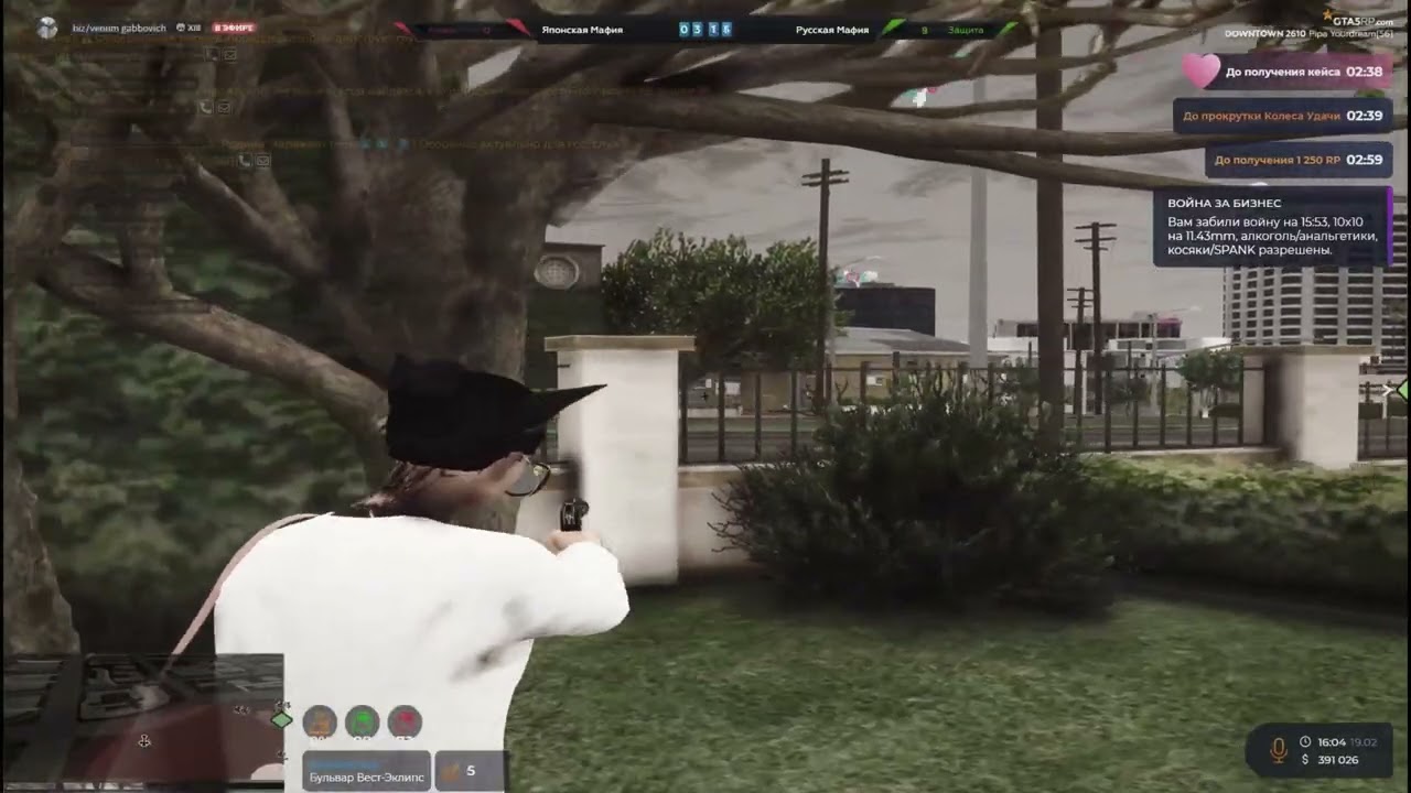 bizwar//dt
