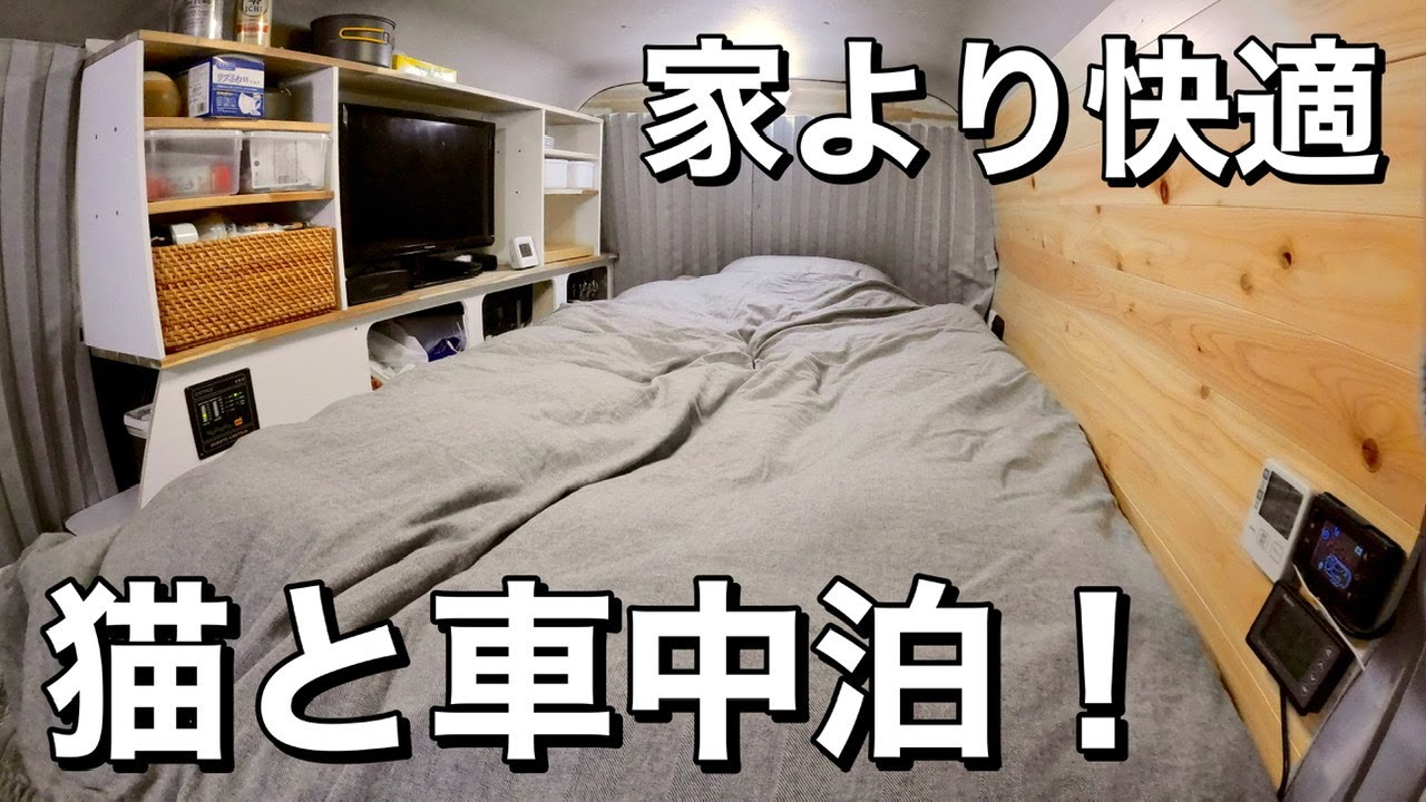 【冬の車中泊 ハイエース】猫と一緒に車中泊！猫に見られながら食べる車中飯。ffヒーター導入後の確認のため冬の駐車場で過ごしてみました。