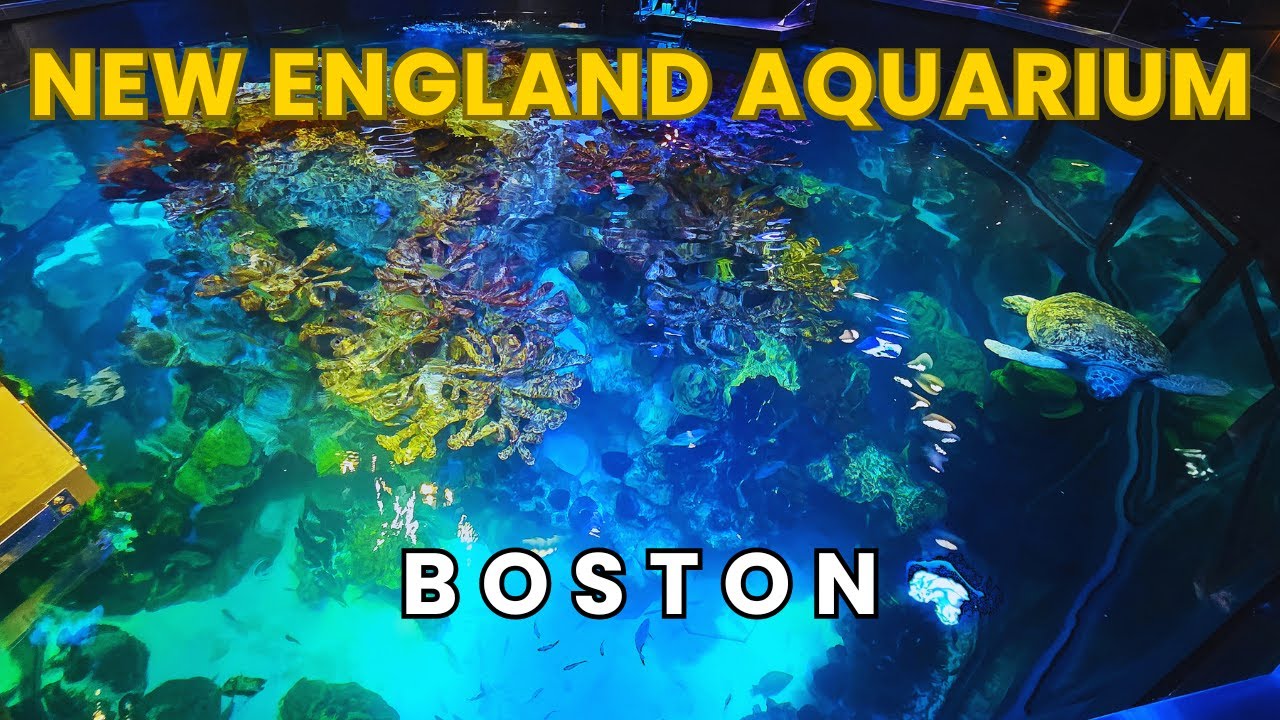 New England Aquarium Boston Ultimate Full Tour 2025