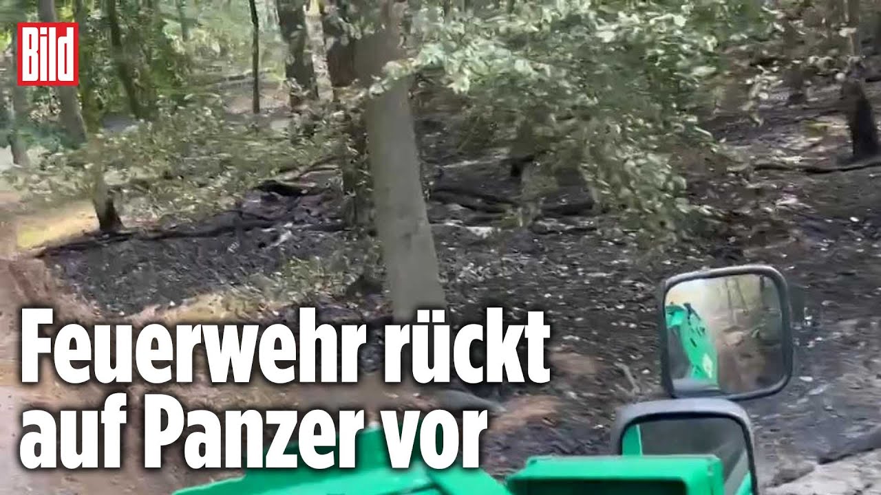 Feuer im Grunewald: Erstes Video aus Berliner Flammen-Hölle