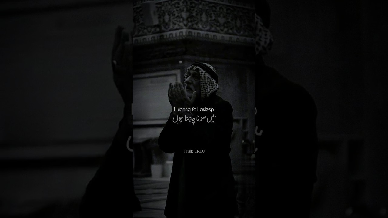 Take me In Your Arms🥺🖤🕊||Urdu translation #shortvideo #ytshorts #islamicstatus #lyrics #urdulines