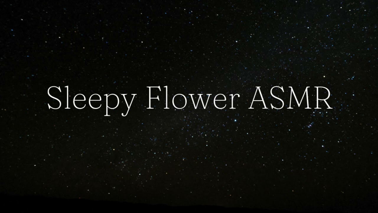 ASMR Tapping (No Talking)