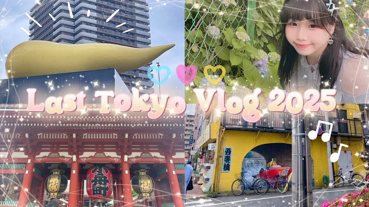 Saying Goodbye to Japan 🇯🇵 Asakusa Temple Market, Mochi Love & Wisteria Wishes