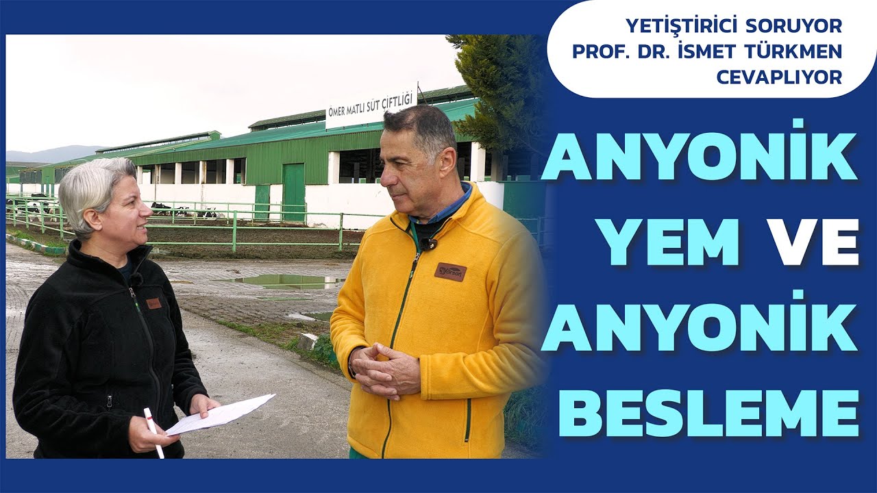 Yetiştirici Soruyor; Anyonik Yem ve Anyonik Besleme Nedir?