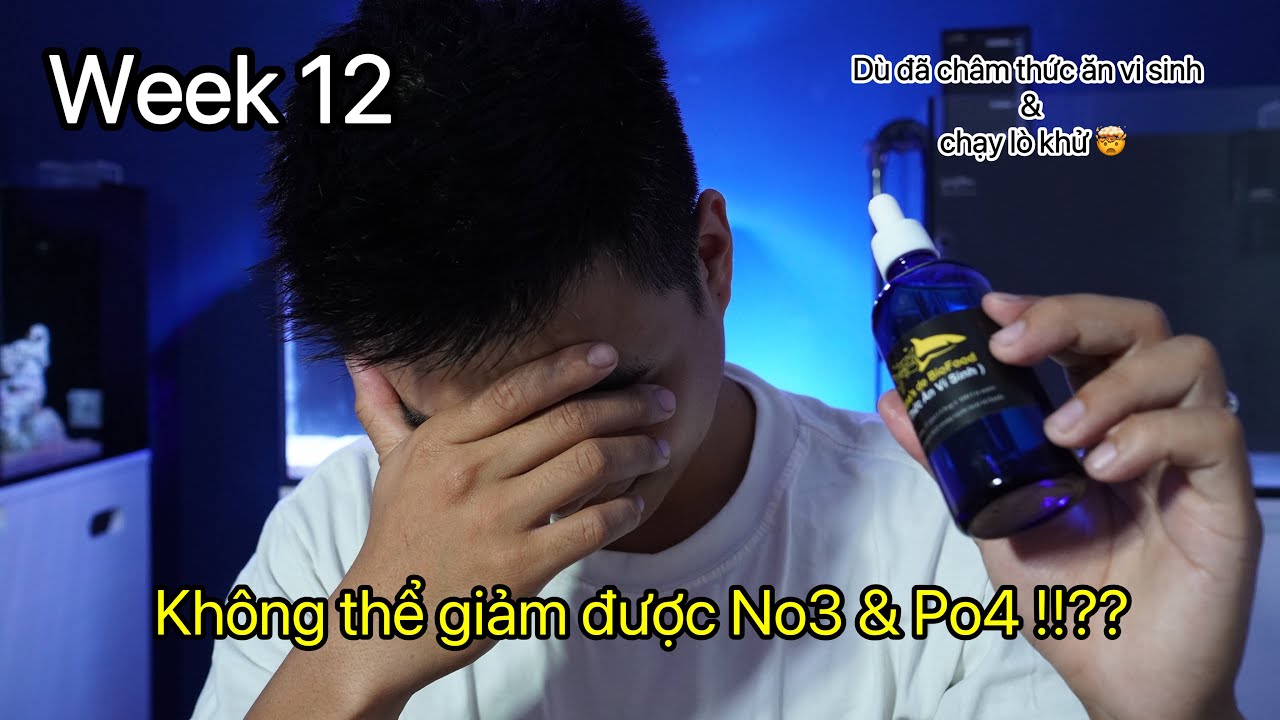 Week 12: Vì Sao Bạn Không Giảm Được No3, Po4 Trong Bể Cá Nước Mặn Của Bạn?| 48 Weeks of Rina Reefing