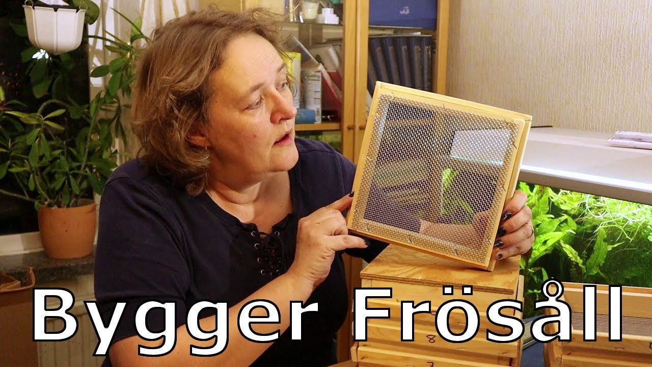 Lina bygger ett frösåll