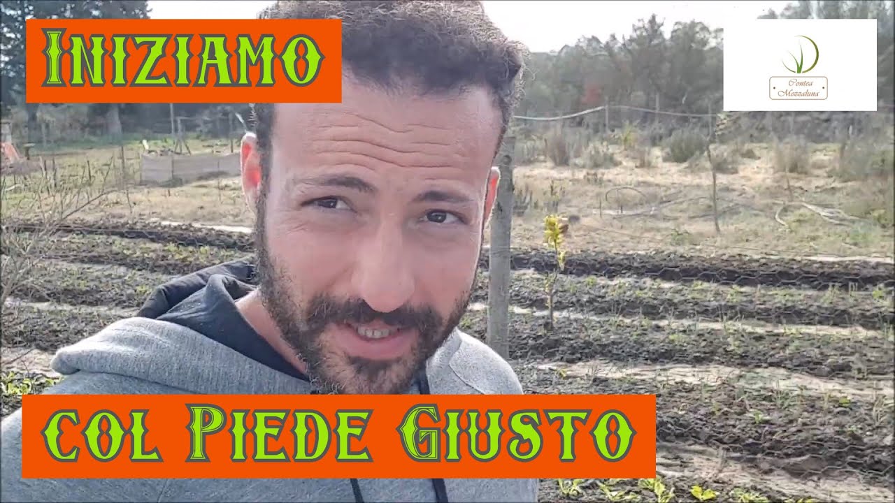 Come Far Partire Correttamente una Fattoria