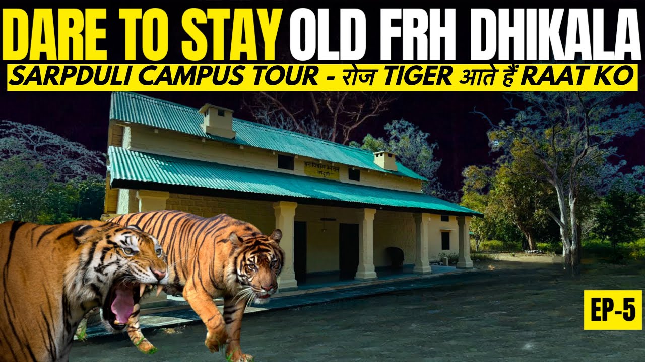 Sarpduli Frh यहाँ Tiger & Leopard Rule करते है Dhikala Zone Corbett National Park - Best FRH Dhikala