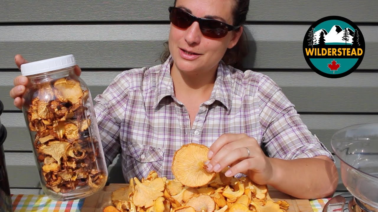 Canning Chanterelle Mushrooms | How To Pressure Can Wild Mushrooms | Preserving Wild Mushrooms