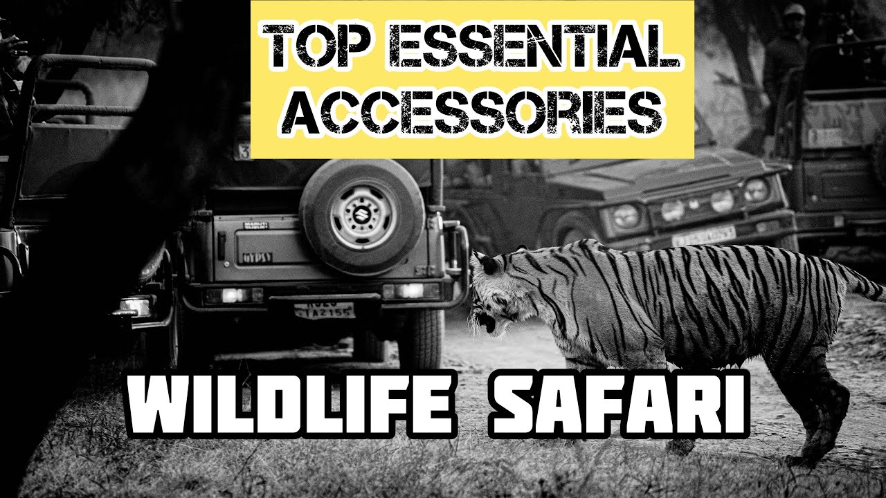 Part 2-Wildlife Photography Top Essentials accessories|| #indiawildlife #tiger#wildlife#tigerreserve