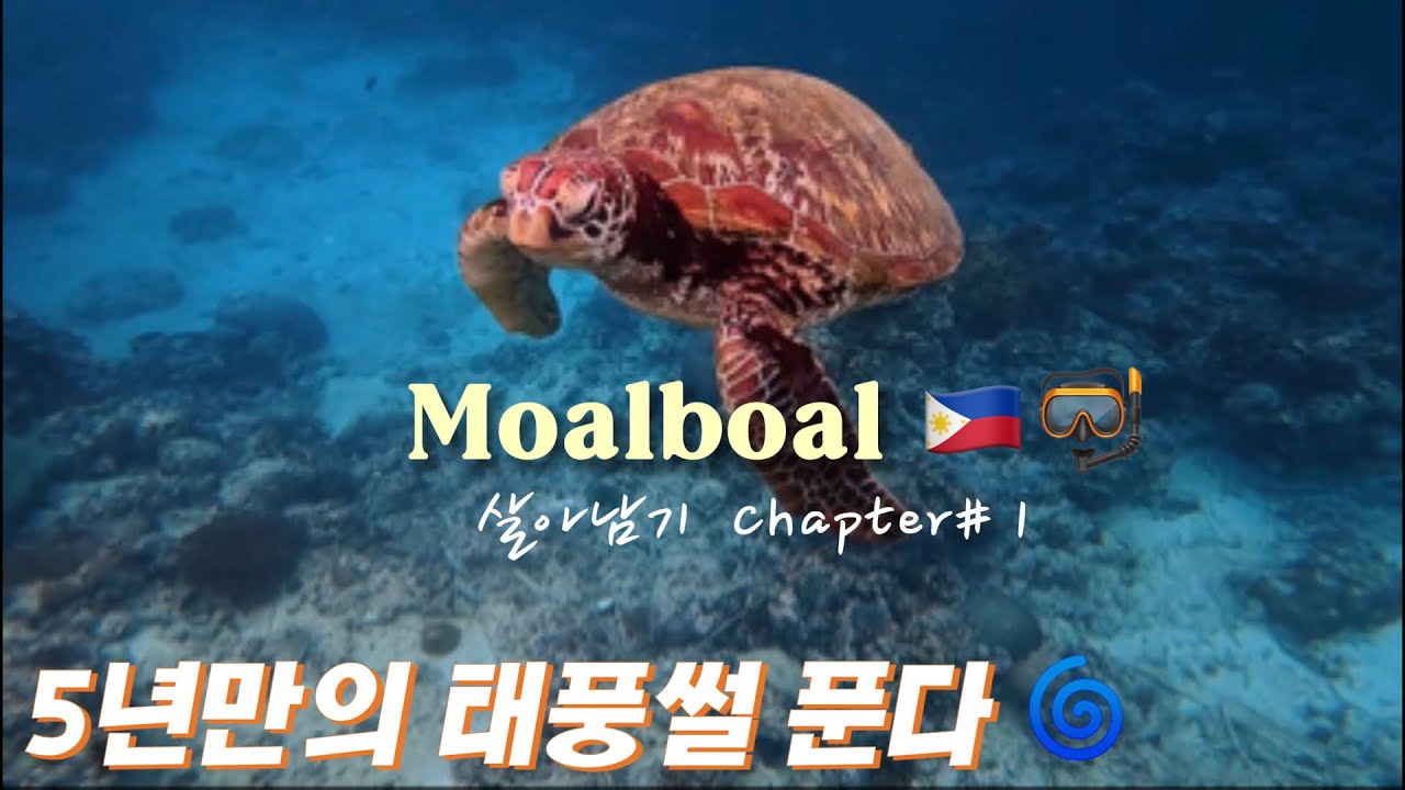 3박5일 세부여행 ll Chapter1. 왜하필? 오늘? 태풍으로 회항위기