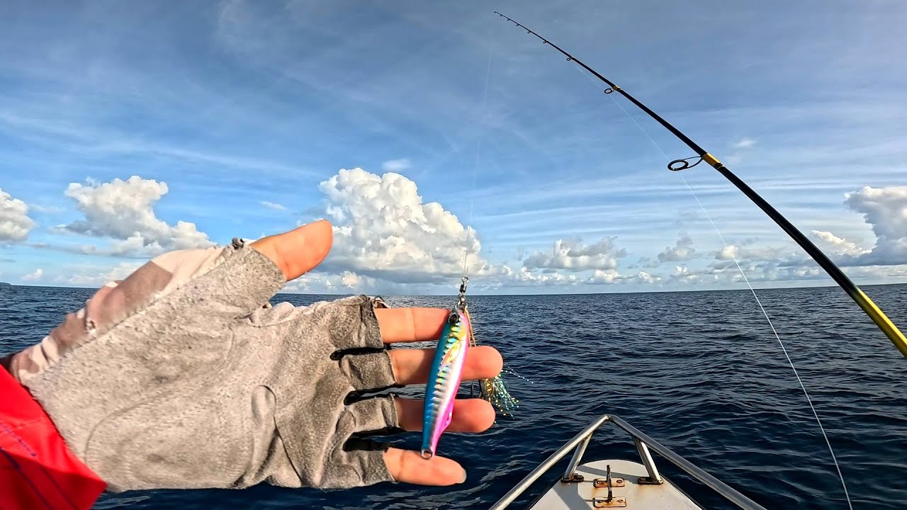 Too often eaten, this type of light jigging bait, the results are okay