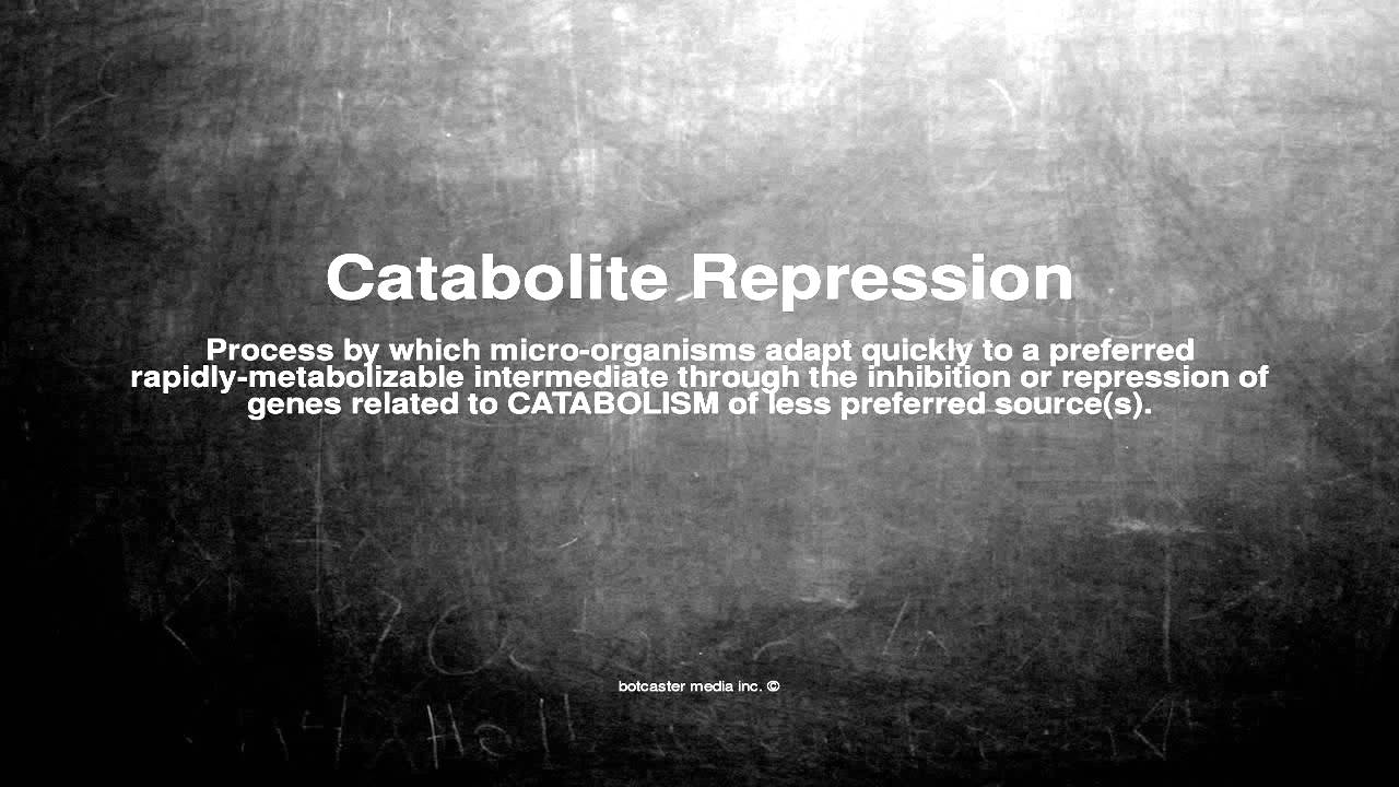 Medical vocabulary: What does Catabolite Repression mean