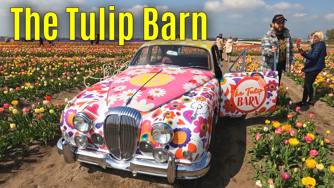 The Tulip Barn 2023 part 2