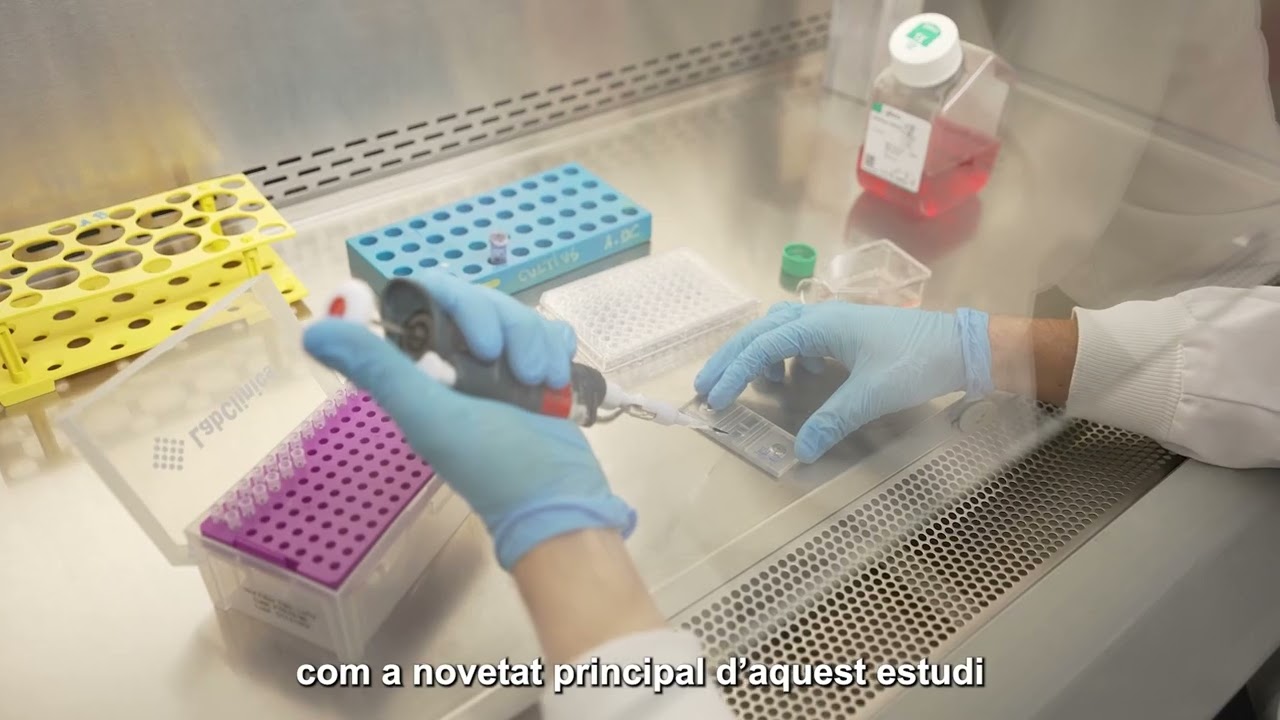 L&rsquo;evoluci&oacute; de la leuc&egrave;mia ja est&agrave; escrita des del seu inici en el moment del diagn&ograve;stic
