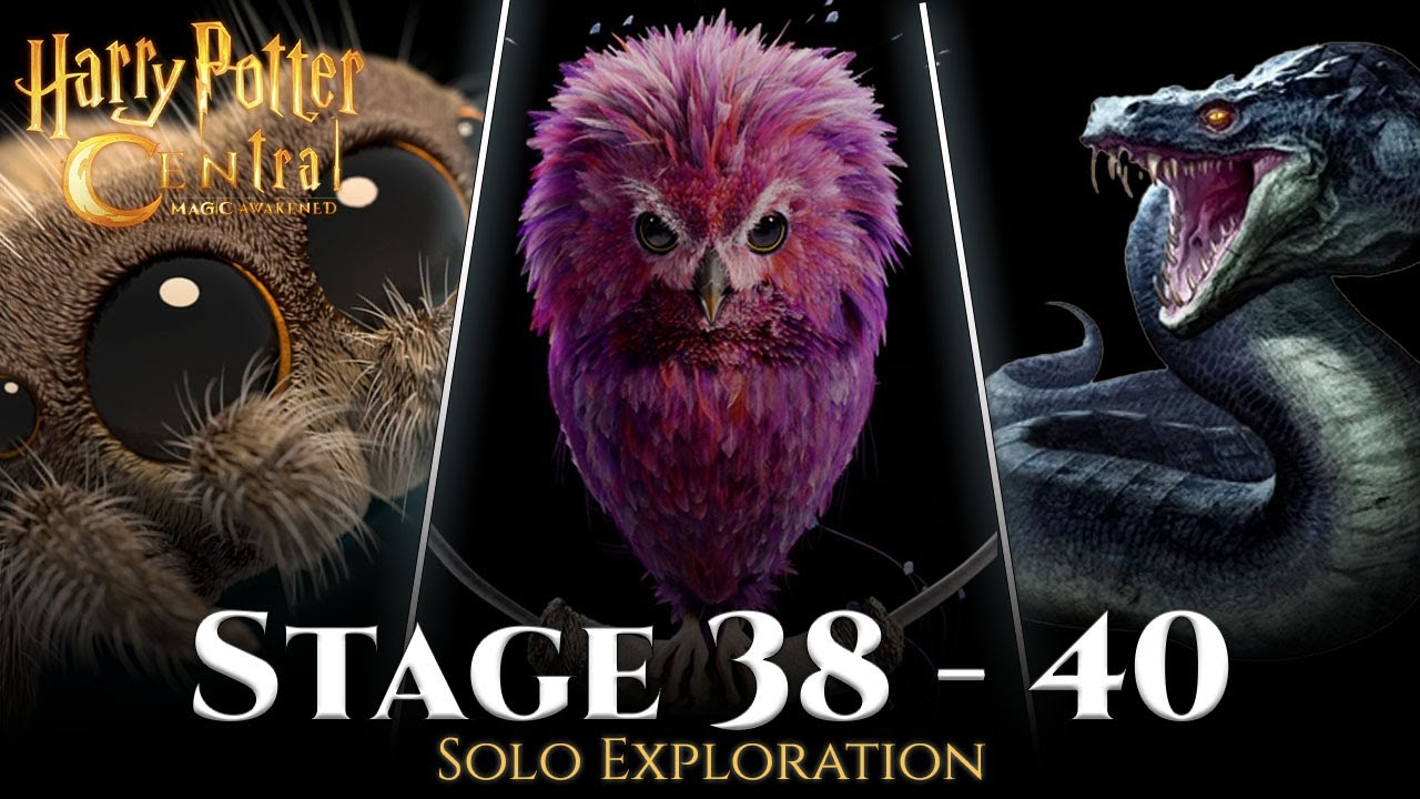 Harry Potter Magic Awakened : Solo Exploration Lv 38 - 40 Guide