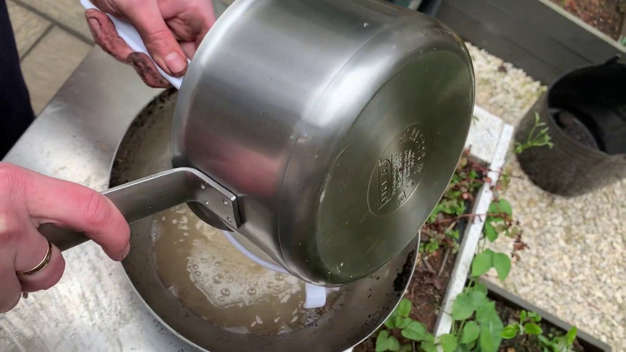 Cooking up some Anti-Slug Garlic spray