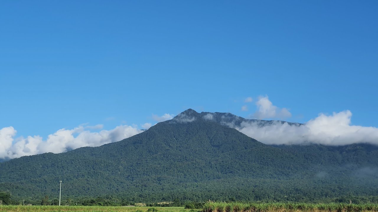 Bartle Frere, Highest Mountain in Queensland