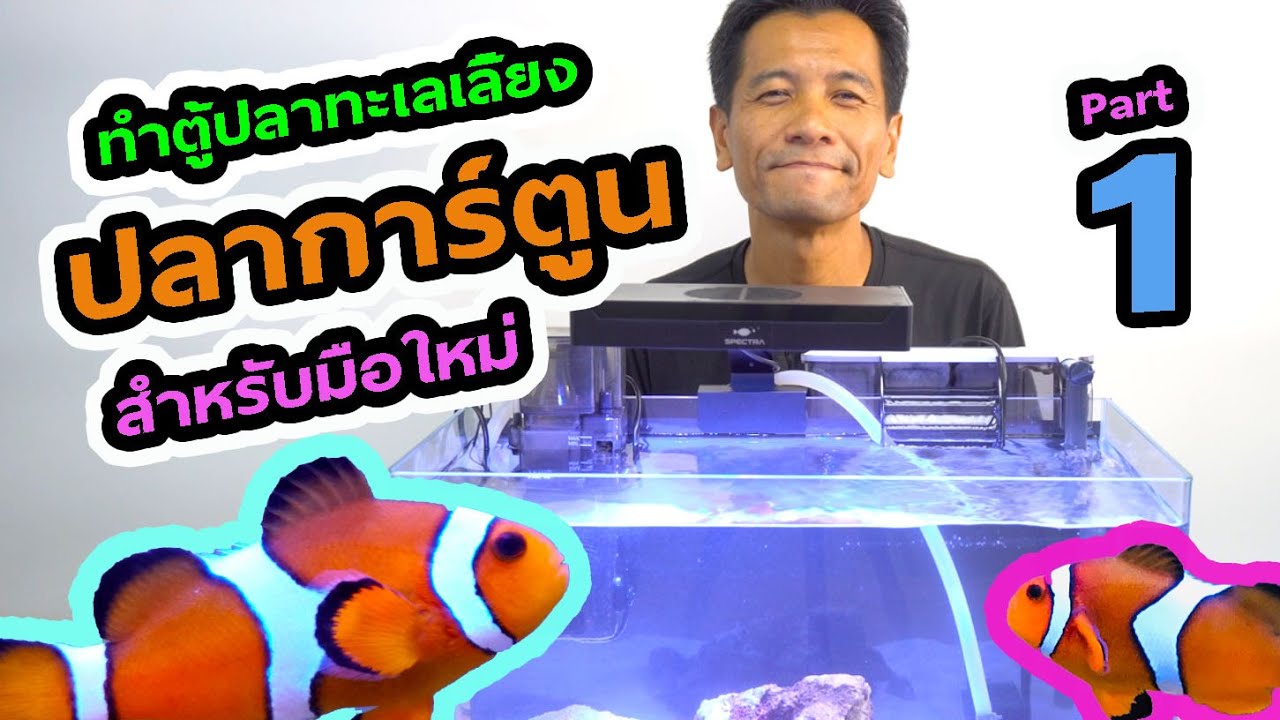 ตู้ทะเล EP.5 : มือใหม่เลี้ยงปลาการ์ตูน อุปกรณ์ตั้งตู้ทะเล การรันน้ำ การลงปลา Part 1