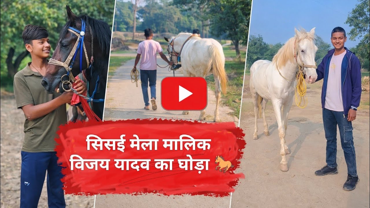 विजय यादव का Horse फॉर्म 💸🐎 #new #longvideo #viral #trendingvideo #horselover