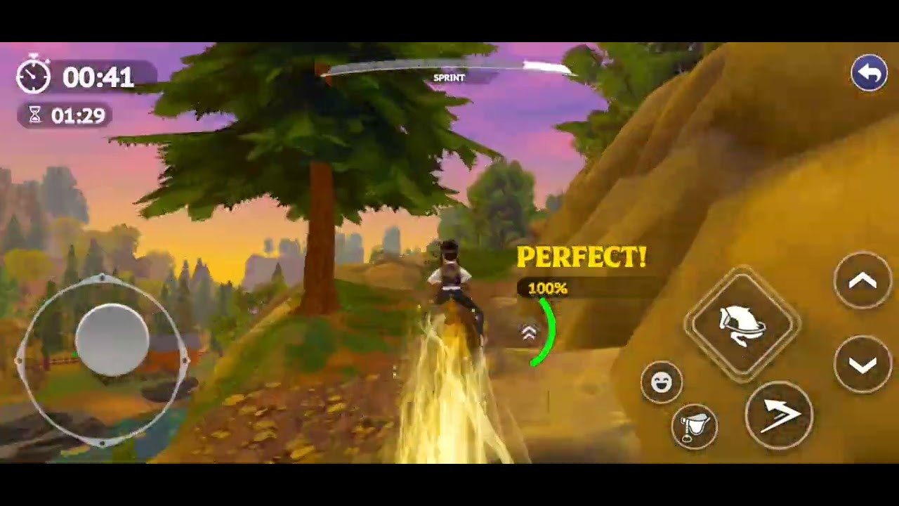 Seagulls instinct full run | Star Equestrian