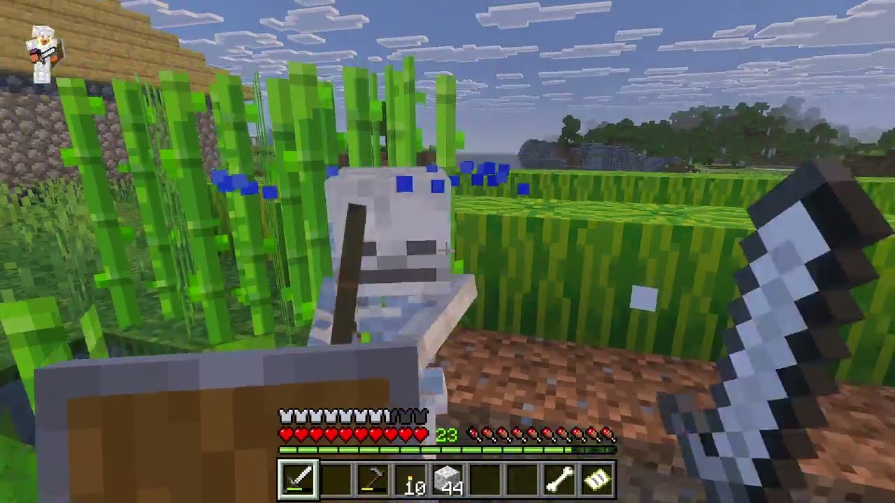 Minecraft - Das war der Falsche Stein
