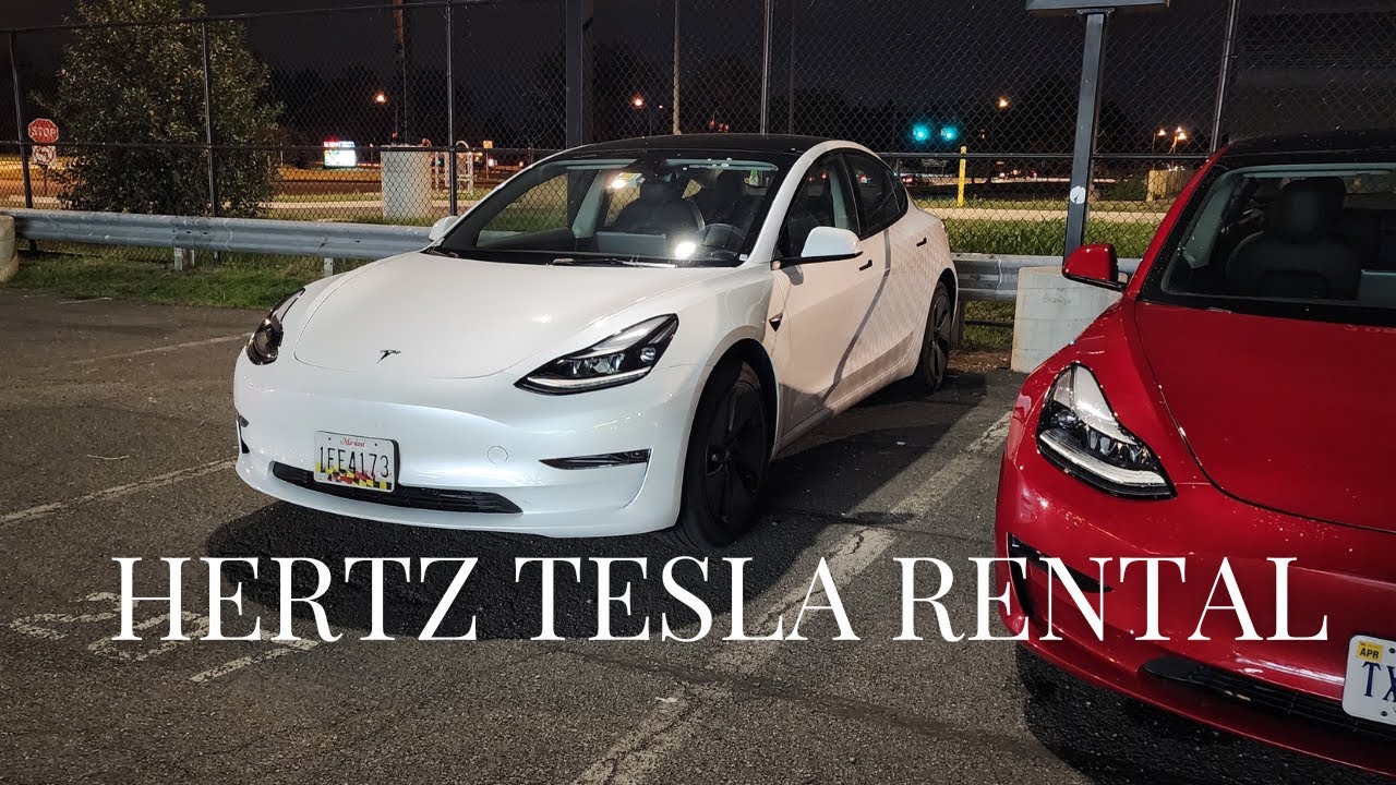 Rented a Tesla from Hertz | Watch before you buy a Tesla M3