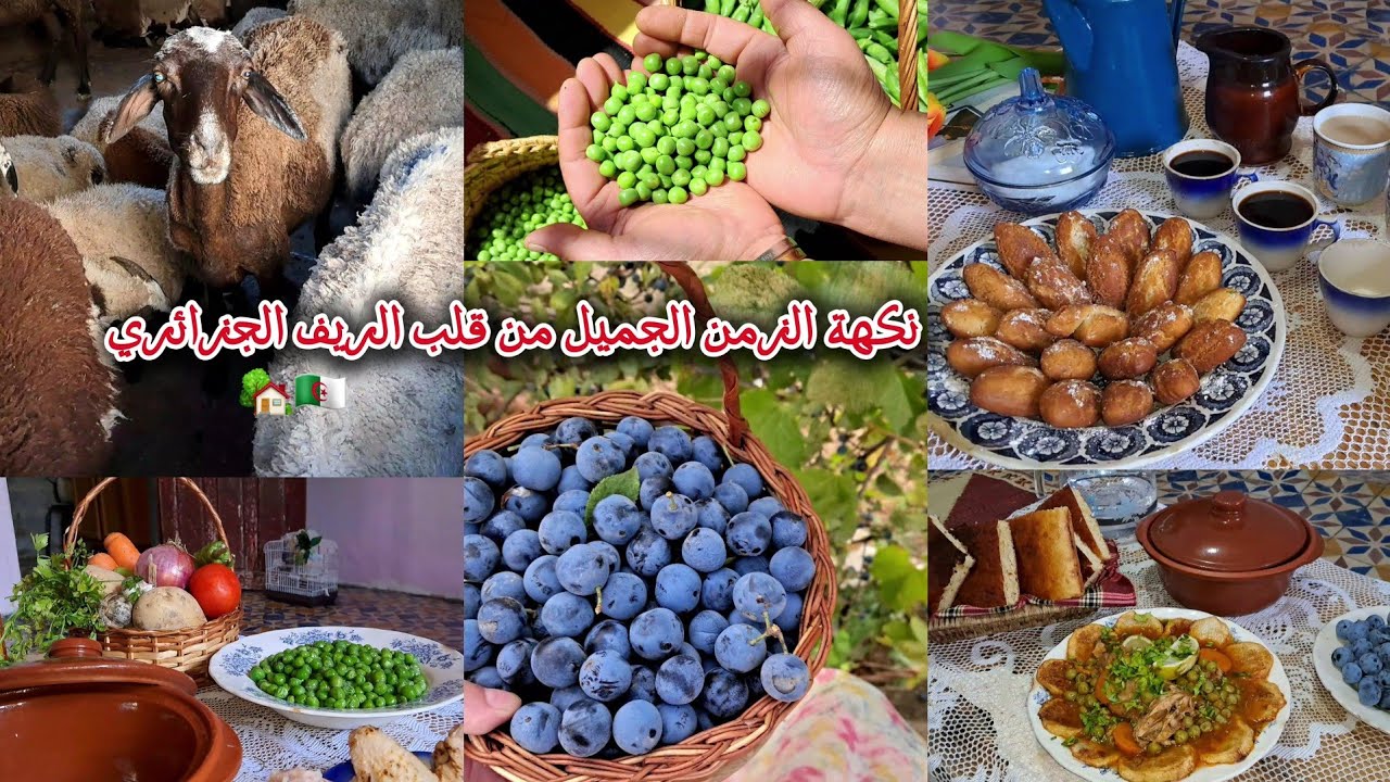 حياة الريف في الجزائر 🏡🇩🇿 | حلوى الزمن الجميل صبيعات لعروسة 🥖🥞 | طبخ ريفي أصيل جلبانة وخبز الدار 🍲🫐